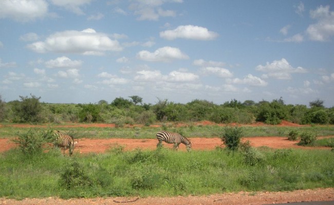 viaggio di nozze in kenia