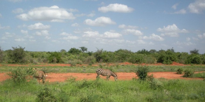 viaggio di nozze in kenia