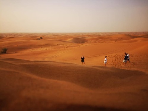 Dubai (13)