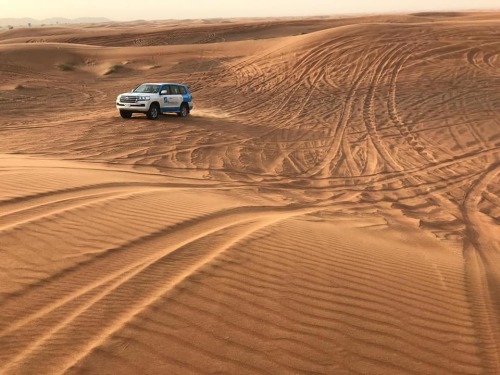 Dubai (18)
