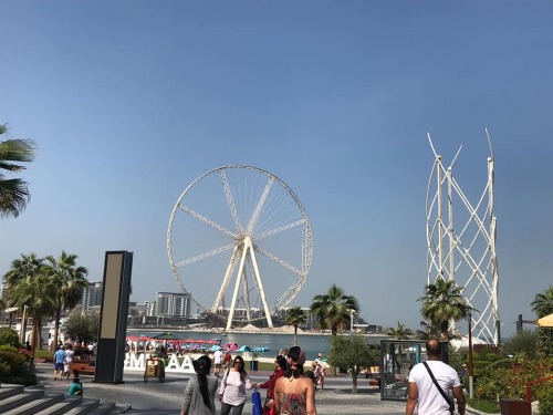 Dubai (6)